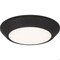 Quoizel Verge Flush Mount VRG1605OI - alternate 1